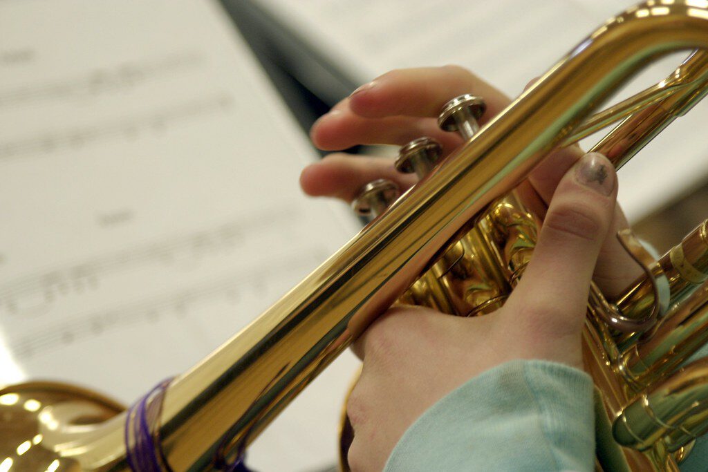 bugel, trompet, cornet, es hoorn, f hoorn, trombone, blaasinstrumenten, koper, hafabra, fanfare, harmonie, muziekles, muziekonderwijs, basisschool, middelbare school, speciaal onderwijs, speciaal voortgezet onderwijs, muziekvereniging, popmuziek, dirigeren, muzikaal leider, repertoire
